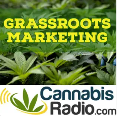Cannabis Market Research and Test Groups